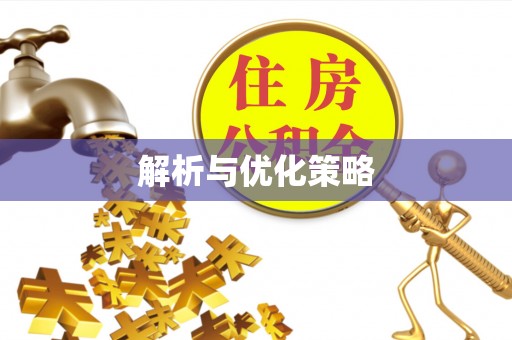 丰泽解析与优化策略