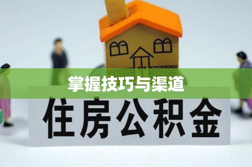 丰泽掌握技巧与渠道
