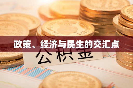丰泽政策、经济与民生的交汇点