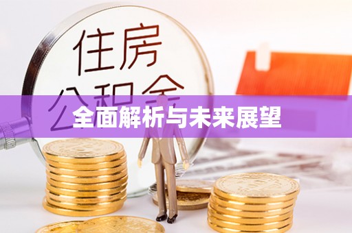 丰泽全面解析与未来展望