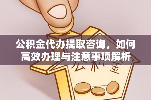 丰泽公积金代办提取咨询，如何高效办理与注意事项解析