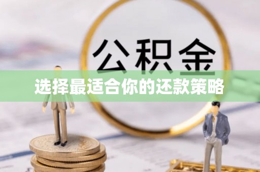 丰泽选择最适合你的还款策略