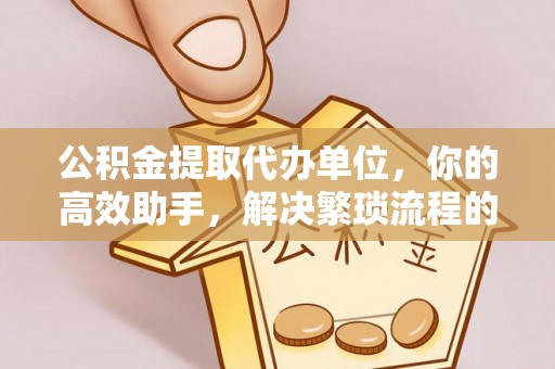 丰泽公积金提取代办单位，你的高效助手，解决繁琐流程的不二之选