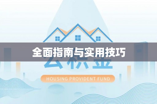 丰泽全面指南与实用技巧
