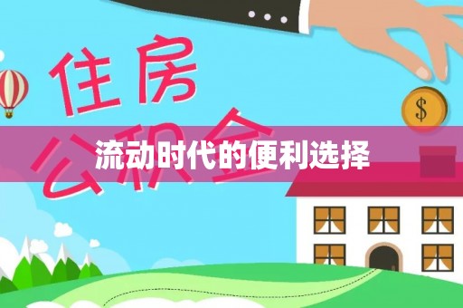 丰泽流动时代的便利选择
