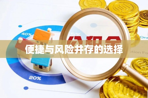 丰泽便捷与风险并存的选择