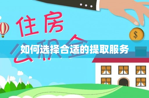 丰泽如何选择合适的提取服务